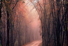 壹号体育:俄网球名将转籍澳洲!热情好客的国度,期待身披澳大利亚国旗而战.