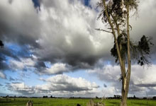 壹号体育：[国足]张玉宁：胜利是大家共同努力的结果.